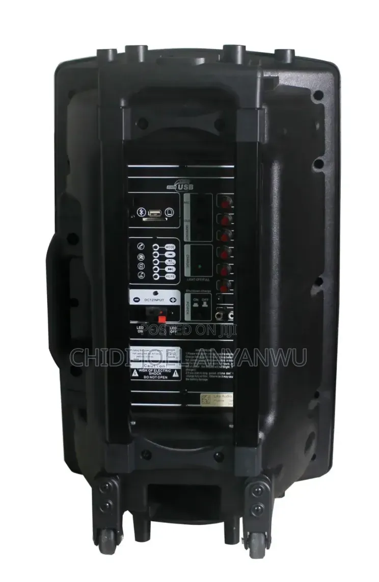 12 Inch Wireless pA System
