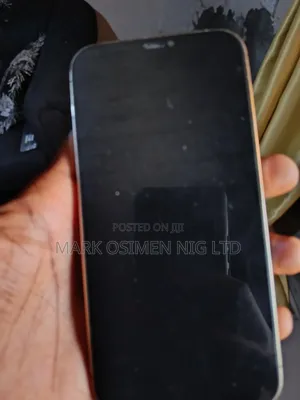 Apple iPhone 12 Pro Max 128 GB Silver