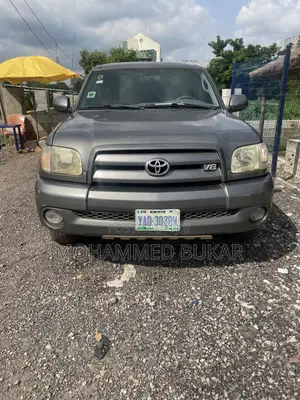 Toyota Tundra Limited Crew Max 4x4 2007 Gray