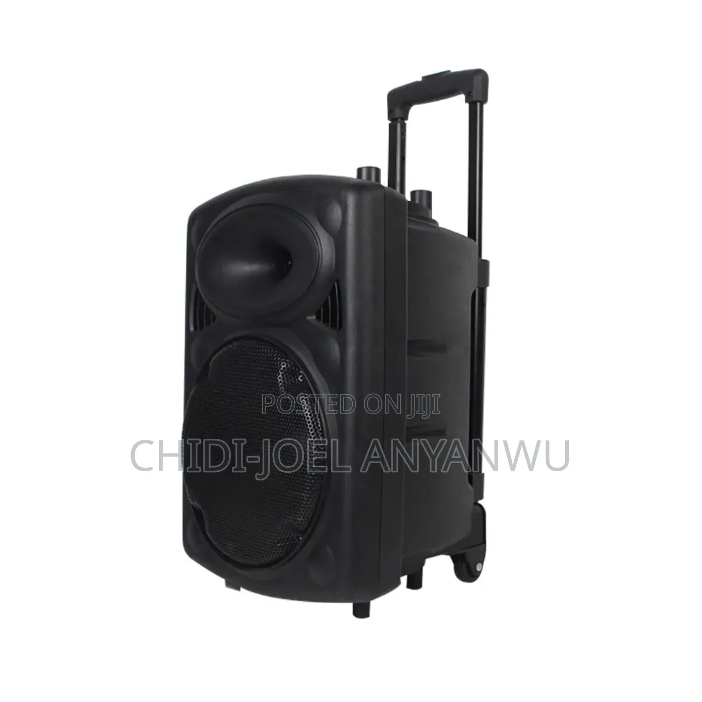 Wireless Bluetooth Sound System 2 Microphone 12" Big Battery