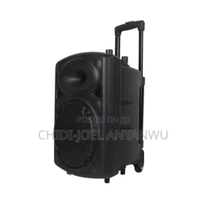 Wireless Bluetooth Sound System 2 Microphone 12" Big Battery