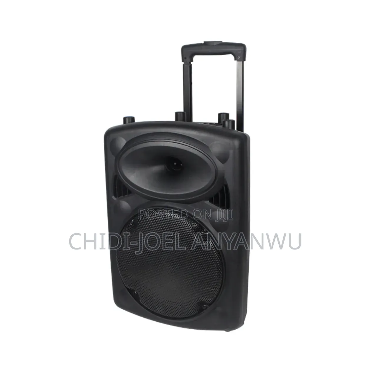 Wireless Bluetooth Sound System 2 Microphone 12" Big Battery