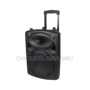 Wireless Bluetooth Sound System 2 Microphone 12" Big Battery