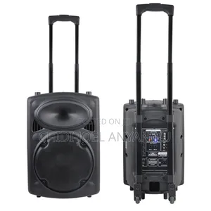 Wireless Bluetooth Sound System 2 Microphone 12" Big Battery