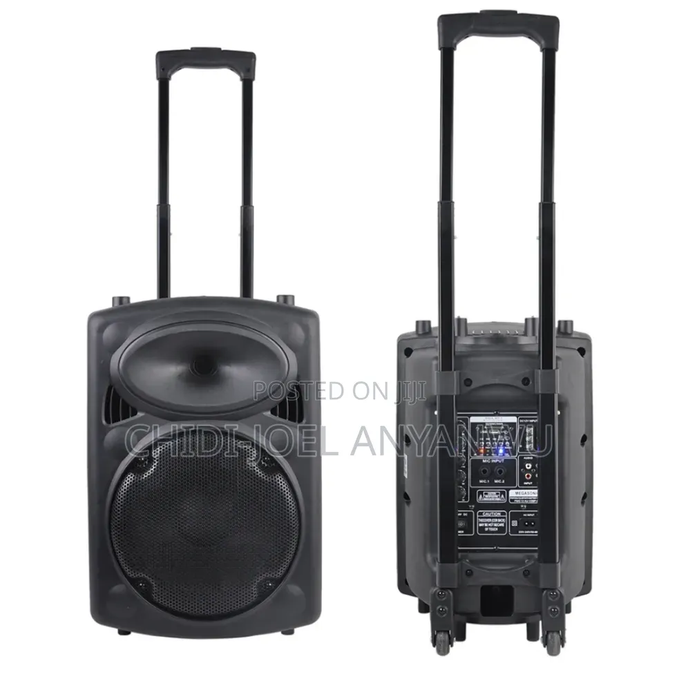 Wireless Bluetooth Sound System 2 Microphone 12" Big Battery