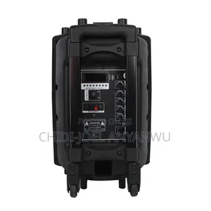 Wireless Bluetooth Sound System 2 Microphone 12" Big Battery