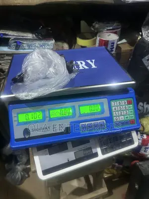 Electronic Pricing Scale