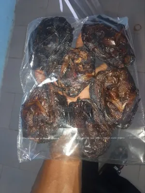 Smoked Oven-Dried Catfish – Premium Quality for Homes Businesses