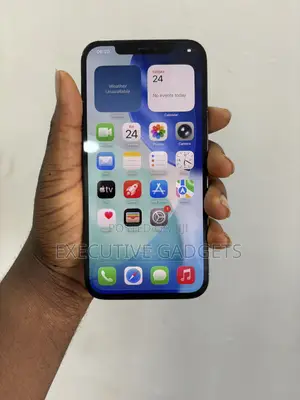 Apple iPhone 12 Pro Max 256 GB Blue