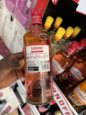 GORDON’s Pink Berry Cartoon of 12 Bottles