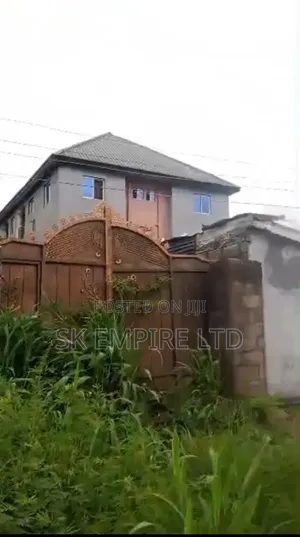 Hot and New in the Market