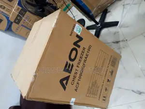 Eco-Friendly Freezing: AEON 100L Energy Saver