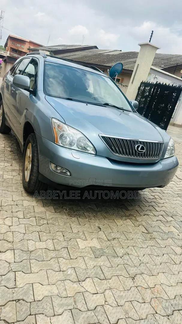 Lexus RX 2009 Blue