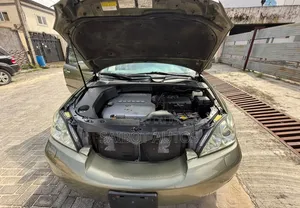Lexus RX 2008 Gray