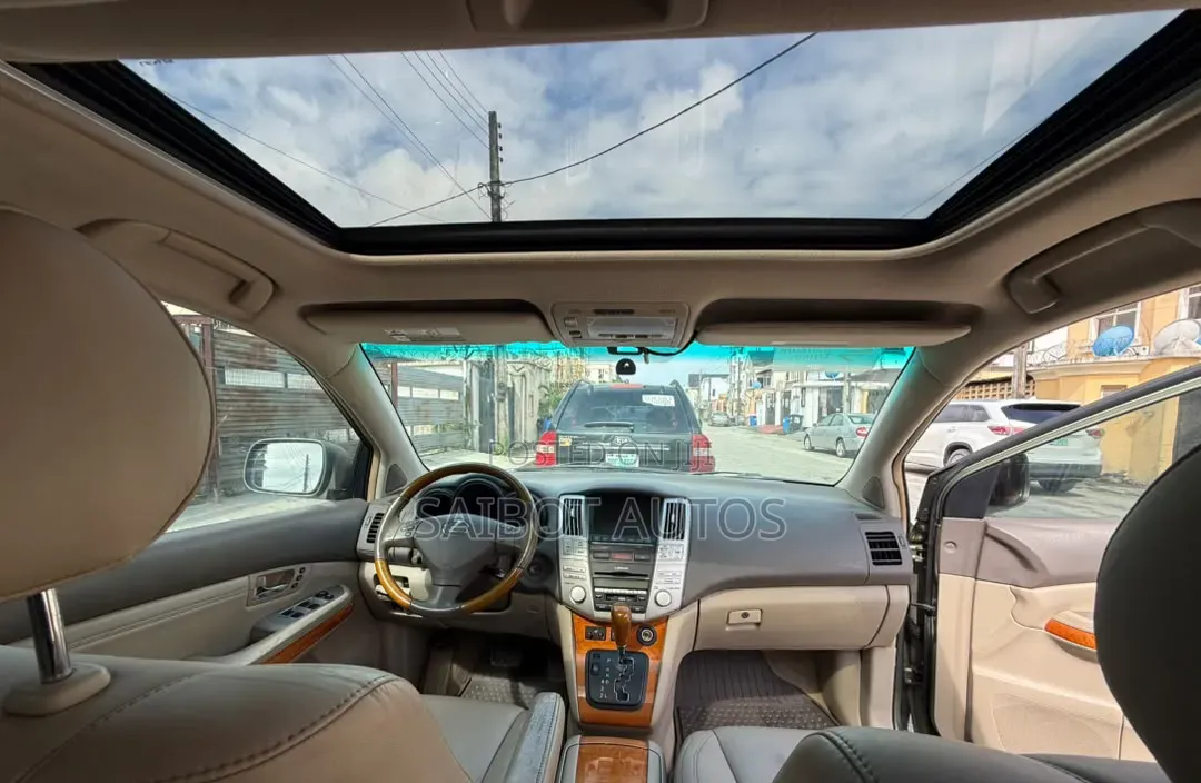 Lexus RX 2008 Gray