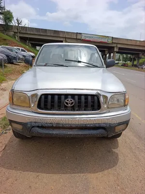Toyota Tacoma 2007 Silver