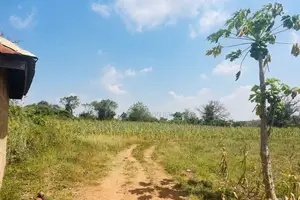 20 Acres of Land for Sale Along Osogbo-Iwo Express Road, Osogbo