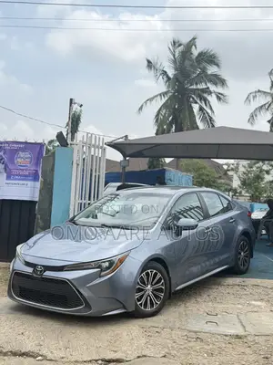 Toyota Corolla LE 2020 Gray