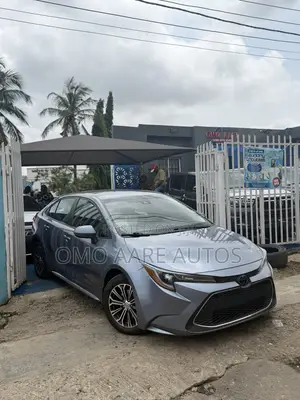 Toyota Corolla LE 2020 Gray