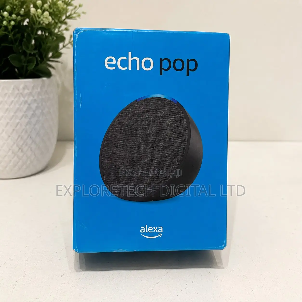 Alexa Echo Pop