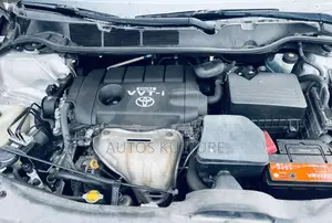 Toyota Venza 2010 Silver