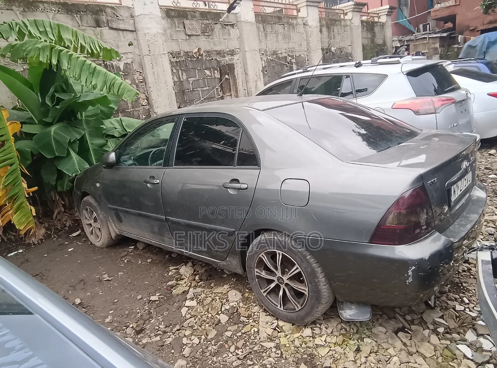 Toyota Corolla 2025 Gray