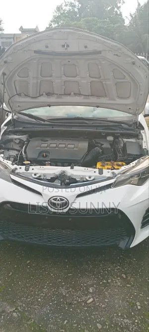Toyota Corolla 2015 White
