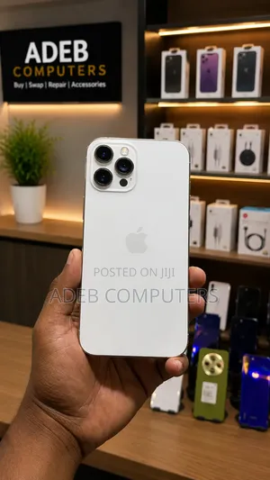 Apple iPhone 12 Pro Max 512 GB Gray