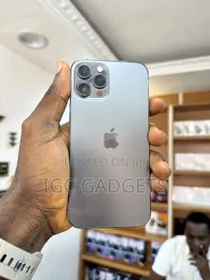 Apple iPhone 12 Pro Max 128 GB Gray