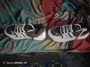 Sneakers Size 44 Uk