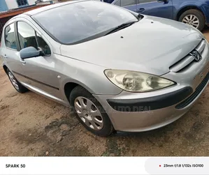 Peugeot 307 2005 Silver