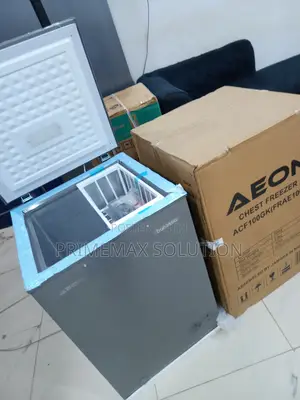 AEON 100L: Generous Space for Family Freezing Needs