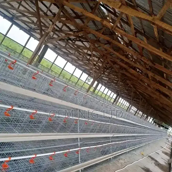 Galvanized Cage