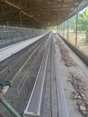 Galvanized Layers Battery Cage