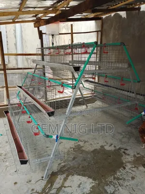 Galvanized Cage