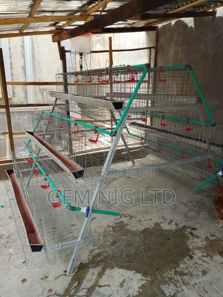 Galvanized Cage