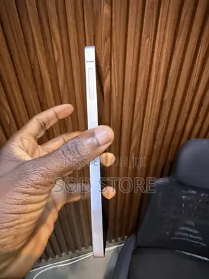 Samsung Galaxy S25 Ultra 256 GB Silver