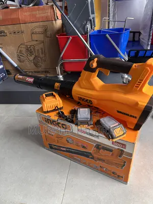 INGCO Leaf Blower Cordless 20V
