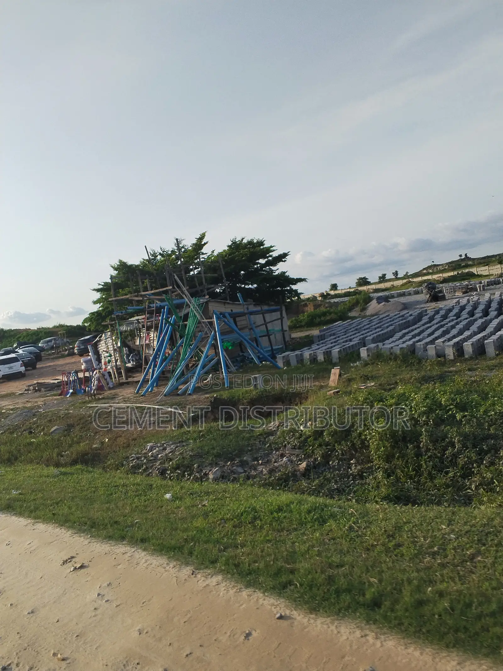 Dangote Mejor Distributor