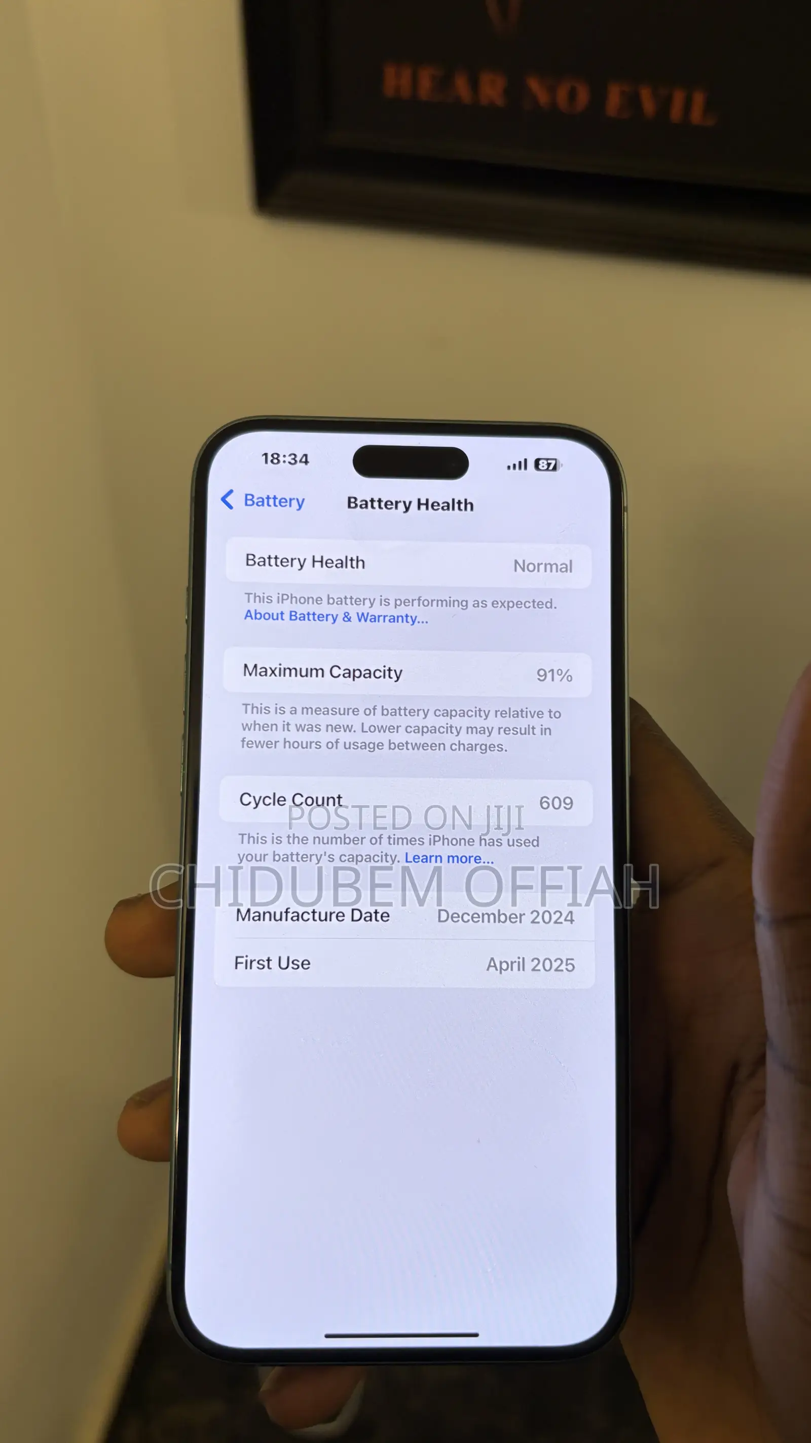 Apple iPhone 16 Plus 256 GB Green