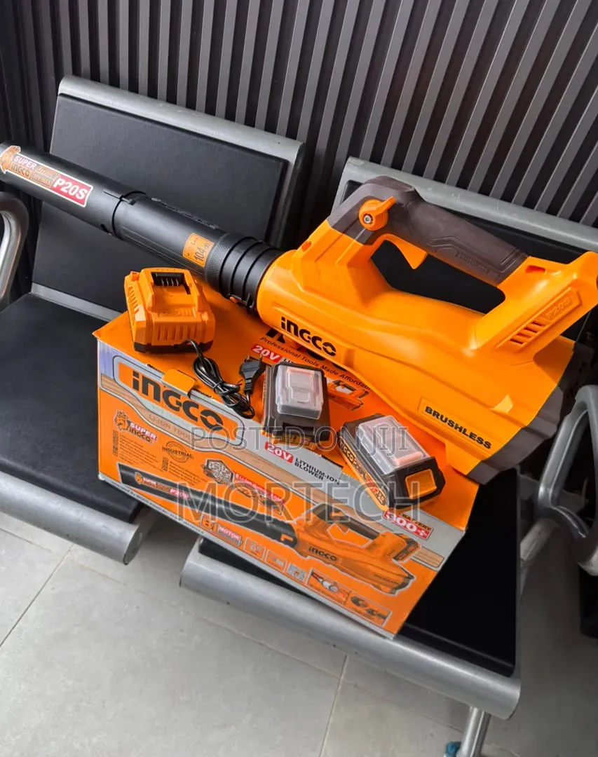 INGCO Leaf Blower Cordless 20V Brushless, 18,500 RPM, 2x 2.0Ah