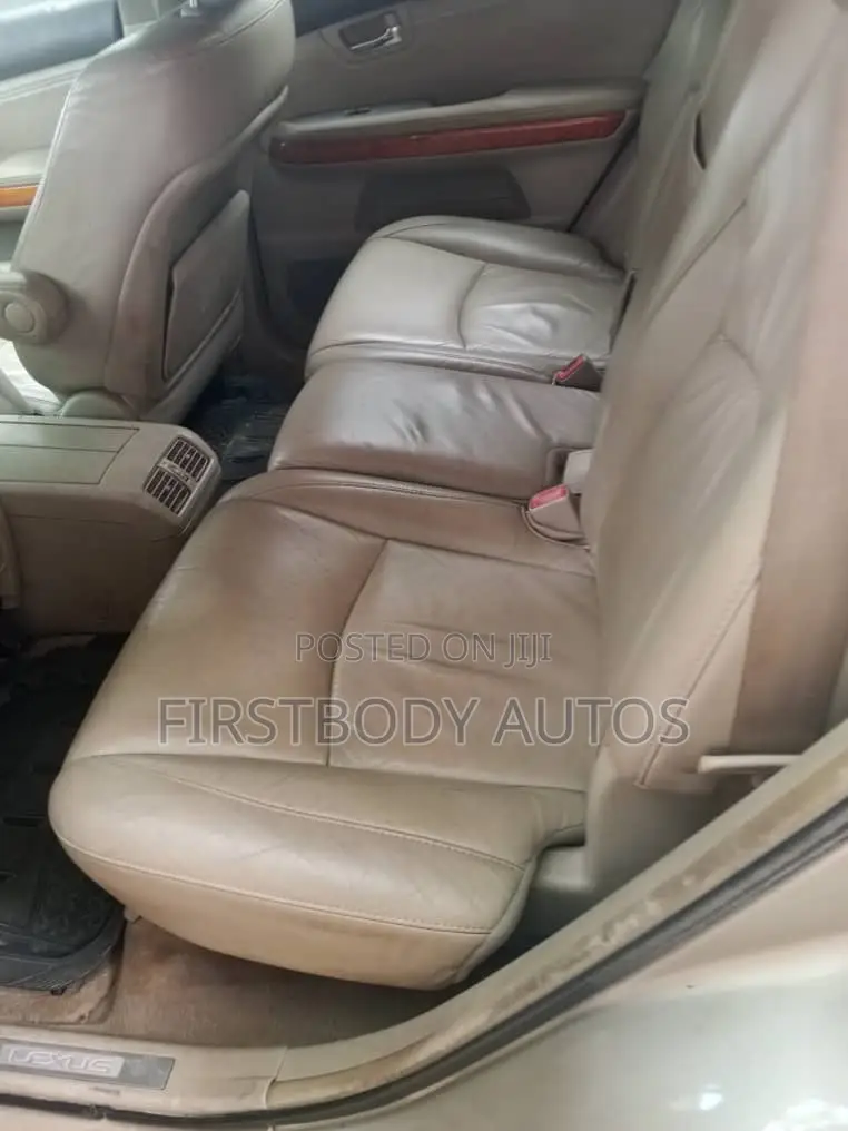 Lexus RX 2001 Gray