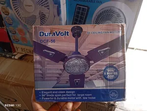 Ceiling Fans