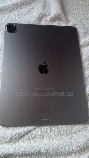 Apple iPad Pro 256 GB Silver