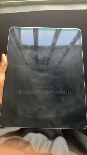 Apple iPad Pro 256 GB Silver