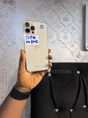 Apple iPhone 12 Pro Max 256 GB Gold