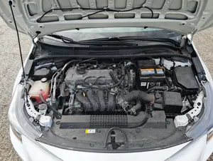 Toyota Corolla 2023 White