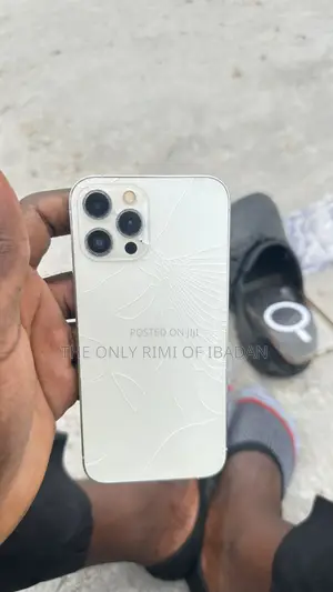 Apple iPhone 12 Pro Max 128 GB Silver