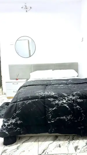 Executive Fully Furnished Mini Flat Shortlet - Ikeja
