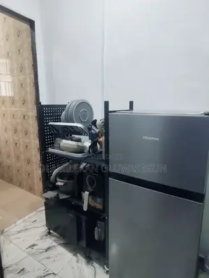 Executive Fully Furnished Mini Flat Shortlet - Ikeja